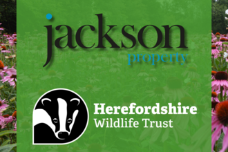 jackson property logo and HWT logo