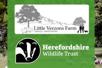 little verzons farm and hwt logos 