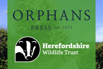 orphans and hwt logo 