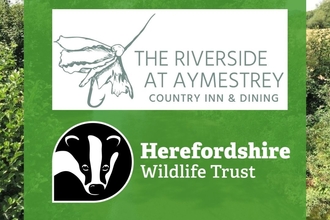 riverside and HWT logo 