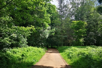 Path at Queenswood