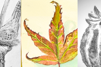 Nature Journalling 2025 - Workshop 3
