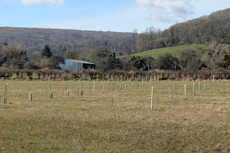 Tree guards in tows on a field with wooded hills in background
