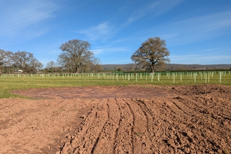 A shallow area dug out from earth with rows of tree guards behind and mature trees in the distance