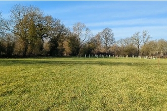 View across field with newly planted tree saplings in distance