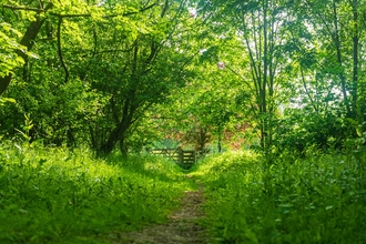 View along grassy path through a woodland to a gate