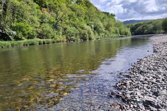 View of wide river with stony bank in foreground and tree-lined far bank stretching into distance