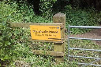 Gate with yellow sign on fence beside it with woodland behind