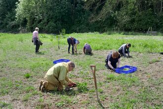 Six people kneeling spaced out around an area of grassland with spades and blue trays with them