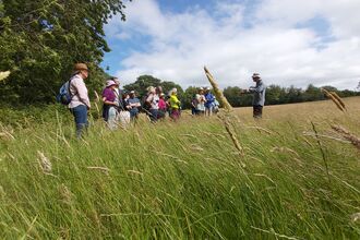 Small group of people stood in a field on a sunny day in long grass