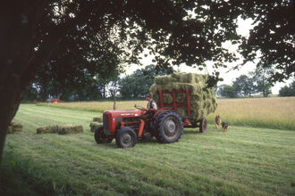Old photo of a red tractor with trailer piled with hay bales in a field