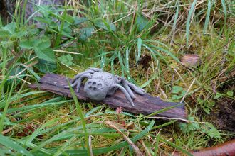 y clay spider sitting on some bark surrounded by green moss and grass