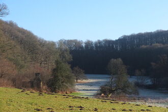 View down a grassy valley with woodland surrounding; winter