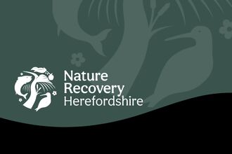 Dark green background with pale green and white illustrations of wildlife