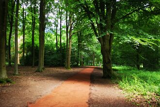 Queenswood Arboretum Path 