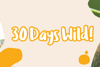 Three photos shown in bubble shapes. A woman and a man having fun crossing stepping stones, a young girl looking through binoculars and a ladybird on a stem