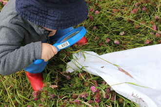 A small child with a large magnifying glass looking at a cricket