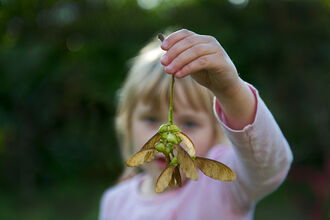 Child with autumn seeds