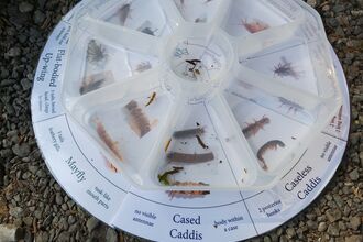 clear segmented tray holding samples with key beneath