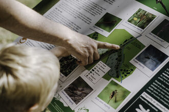adult pointing at map, child looking at map