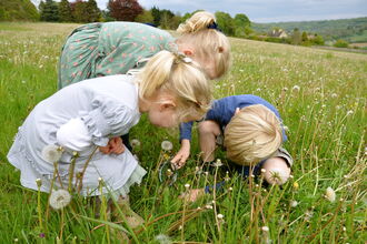Children on the meadow