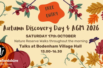 Discovery day 2026