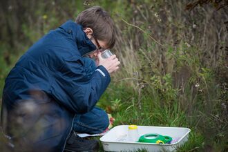 Boy looking into a bug pot