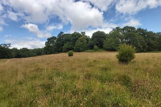 Crow Wood and Meadow