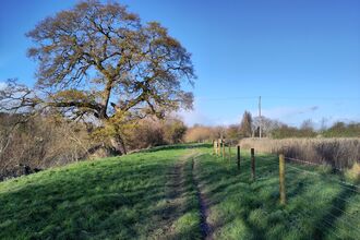 path at Bartonsham 