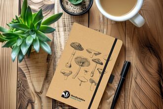 Notepad with fungi illustration on an table with a mug and houseplant