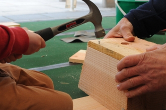 Nest box being built - an adult's hands holding the wooden box, a child's hands hammering in a nail.