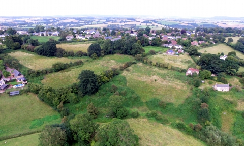 View of fields and hedgerows from above