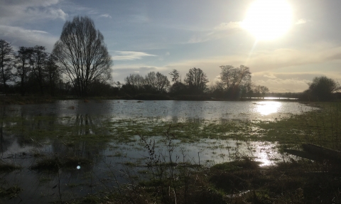 View across flooded field