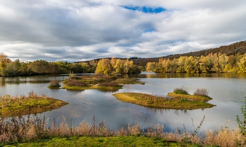 View across lake in autumn