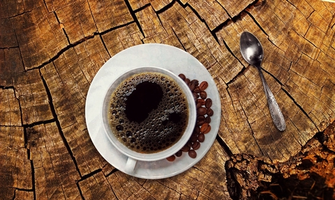 Cup of coffee on tree trunk