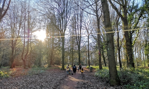 Queenswood Trail