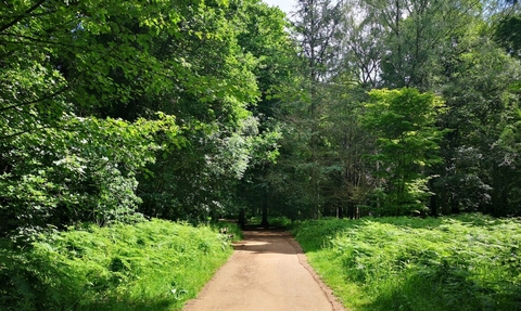 Path at Queenswood