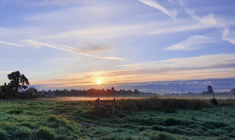 Bartonsham Meadows