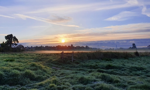 Bartonsham Meadows