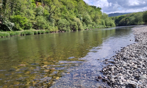 View of wide river with stony bank in foreground and tree-lined far bank stretching into distance