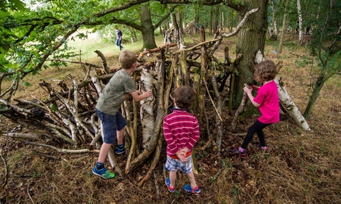Den building