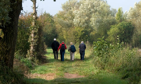 Four ramblers walking away down a country path