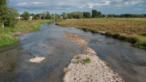 Freshwater habitat