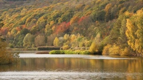 Bodenham Lake
