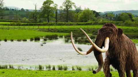 Mammoth beside pond