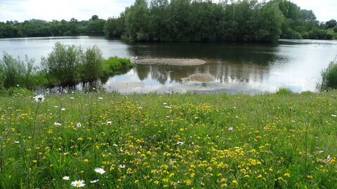 View across lake with wildflowers in foreground