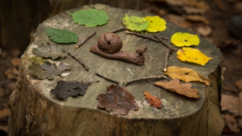 Coloured leaves and sculpted snail arranged on a tree stump