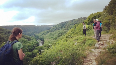 Viewpoint on the Doward
