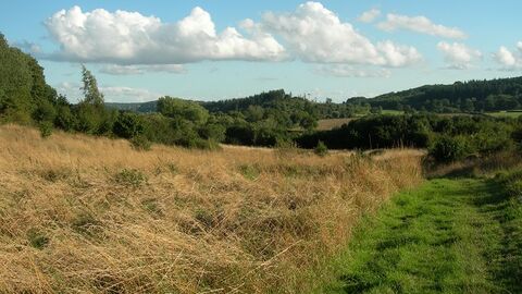 Wessington nature reserve
