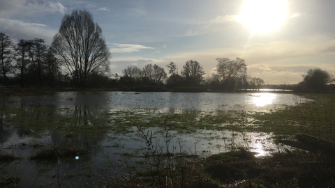 View across flooded field